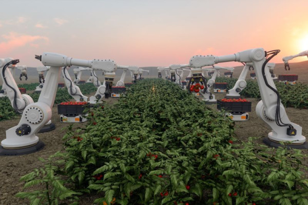 A group of robotic fruit picking machines lined in a row facing plantation
